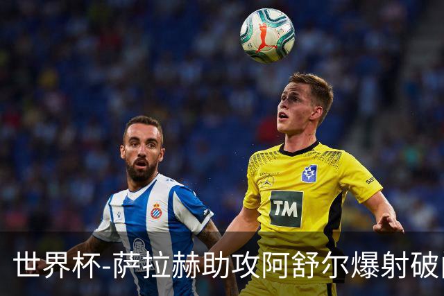 世界杯-萨拉赫助攻阿舒尔爆射破门 埃及半场1-0比利时
